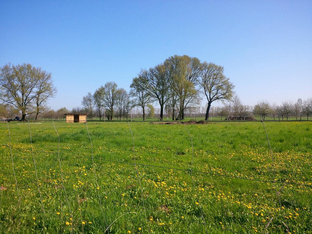 Ferienhof Idyll Am Kleinen Fliess Burg im Spreewald Eksteriør billede