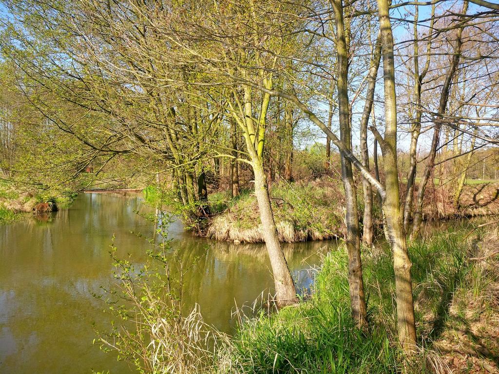 Ferienhof Idyll Am Kleinen Fliess Burg im Spreewald Eksteriør billede