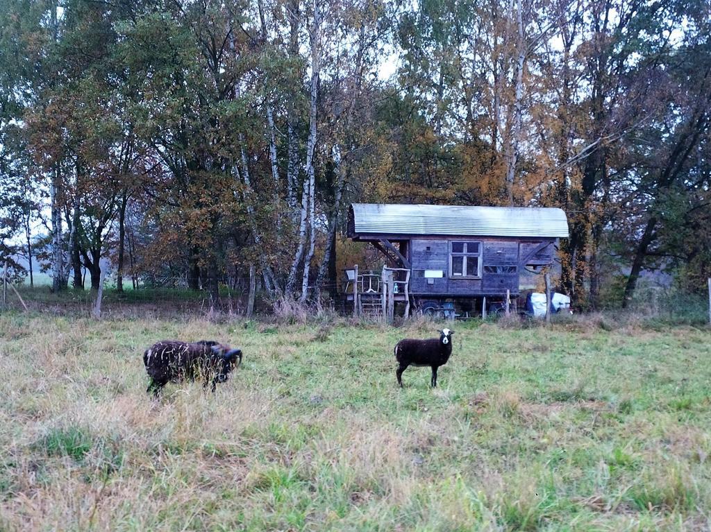 Ferienhof Idyll Am Kleinen Fliess Burg im Spreewald Eksteriør billede