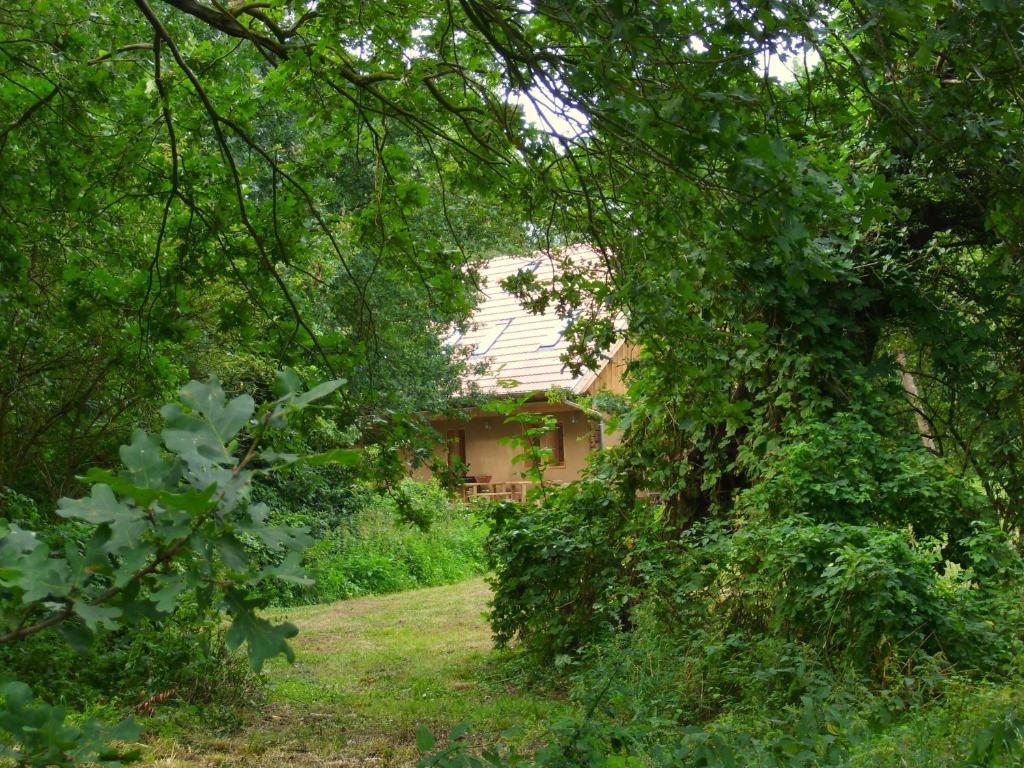 Ferienhof Idyll Am Kleinen Fliess Burg im Spreewald Eksteriør billede