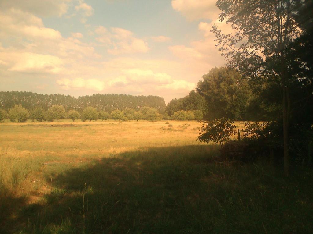 Ferienhof Idyll Am Kleinen Fliess Burg im Spreewald Eksteriør billede