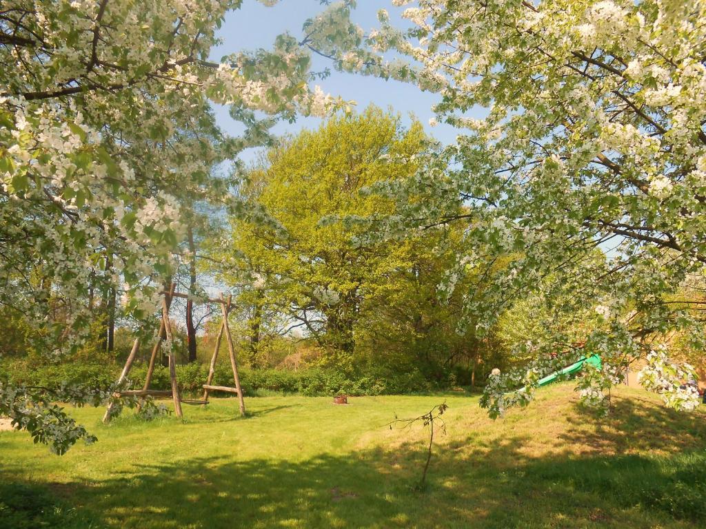 Ferienhof Idyll Am Kleinen Fliess Burg im Spreewald Eksteriør billede