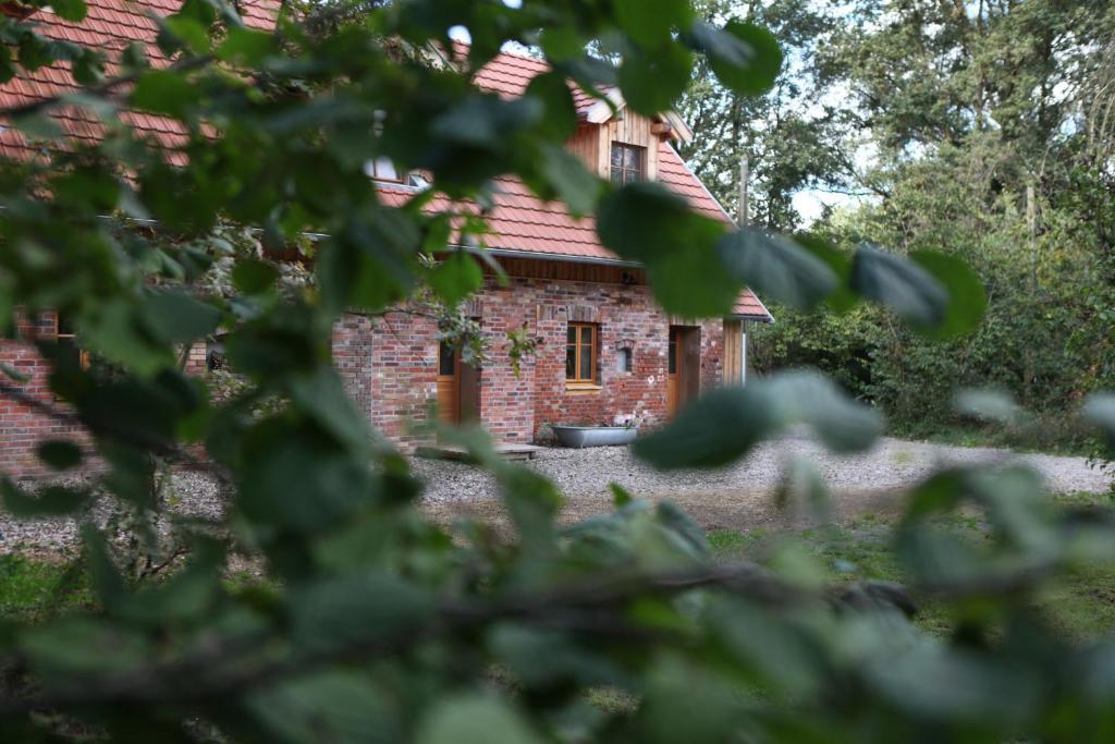 Ferienhof Idyll Am Kleinen Fliess Burg im Spreewald Eksteriør billede